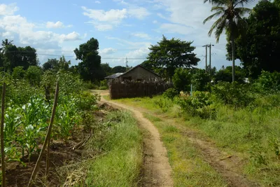 DSC_8718 (Large).JPG